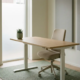Zit-sta bureau met ergonomische stoel in een rustig Nederlands zorgkantoor, klein kamerplantje op het bureau, zacht daglicht door matglas raam.
